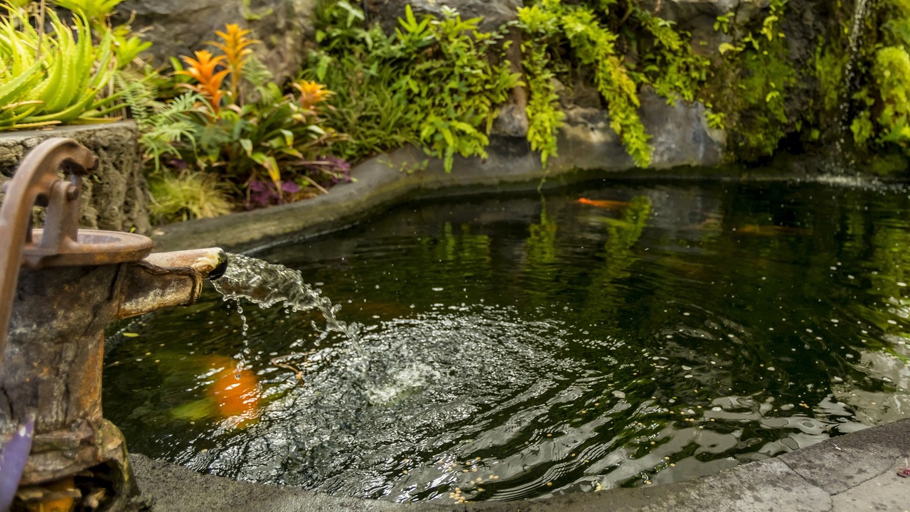 Photo of Outdoor in Honaunau-Napoopoo