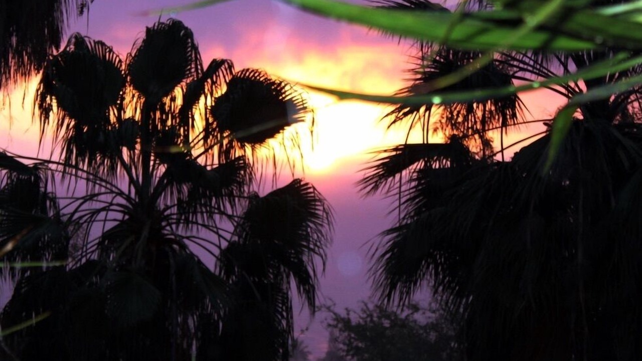 Photo of Outdoor in Honaunau-Napoopoo