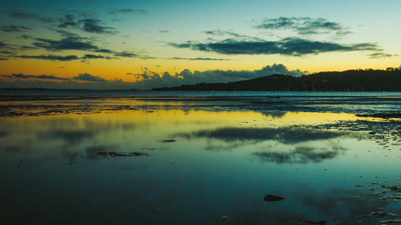 Photo of Others in Blackpool