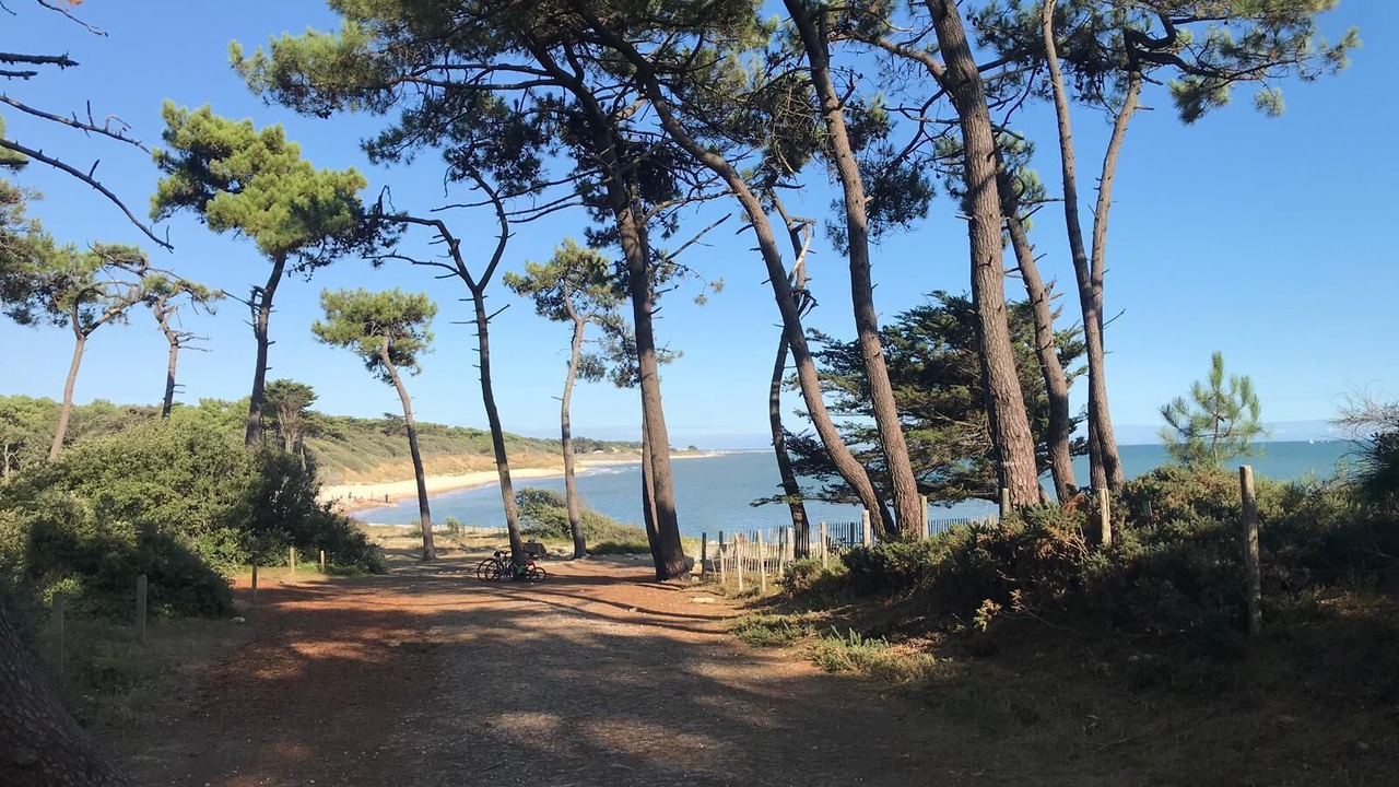 Photo of Outdoor in Jard-sur-Mer