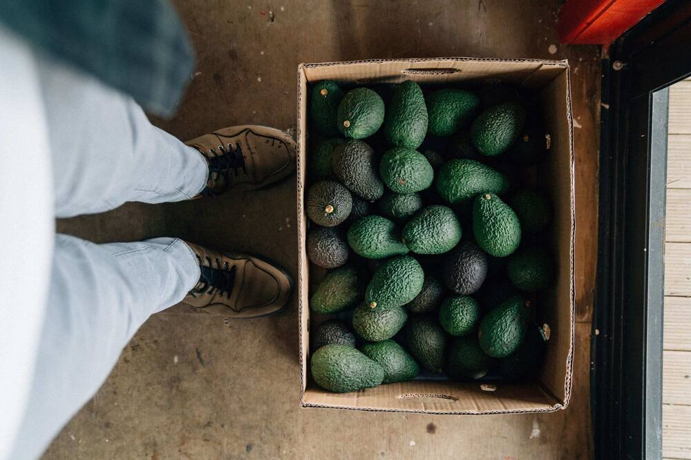 Photo of Others in Maungatapere