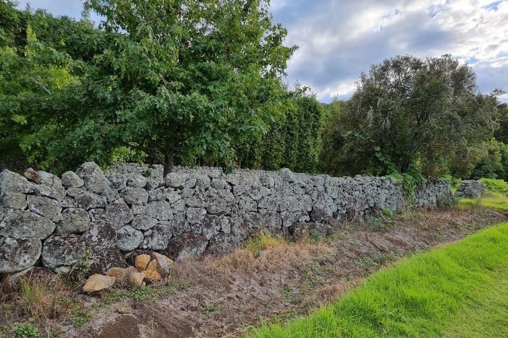 Photo of Others in Maungatapere