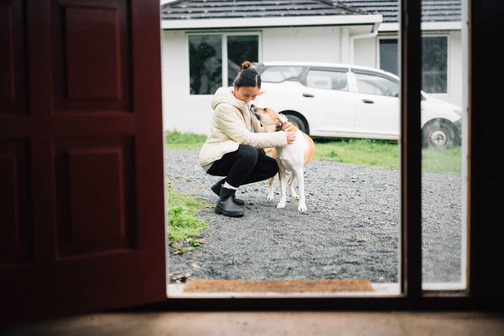 Photo of Others in Maungatapere