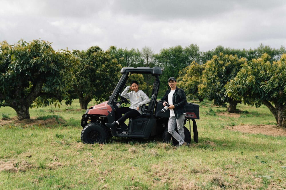 Photo of Others in Maungatapere