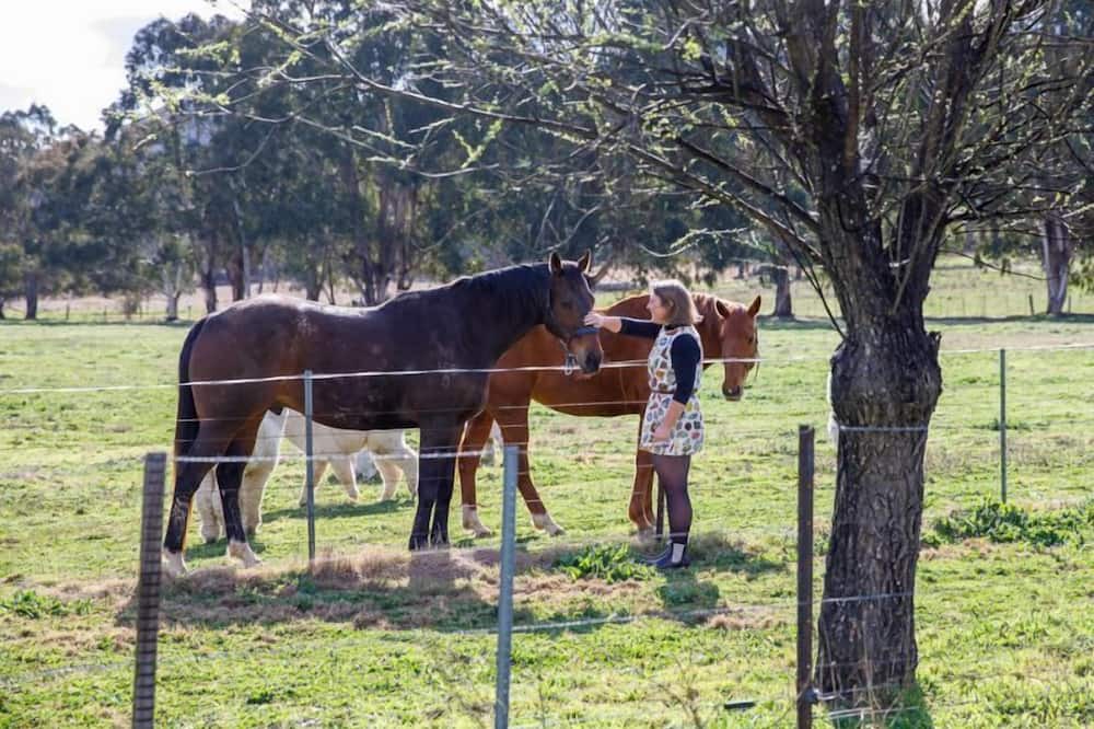 Photo of Others in Mid-western Regional Council