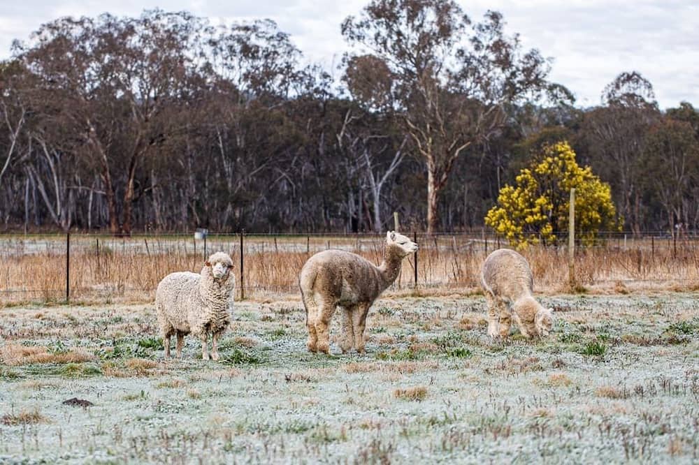 Photo of Others in Mid-western Regional Council