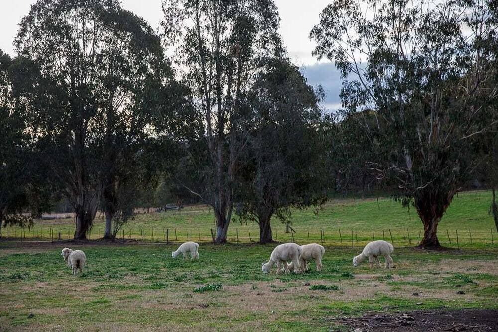 Photo of Others in Mid-western Regional Council