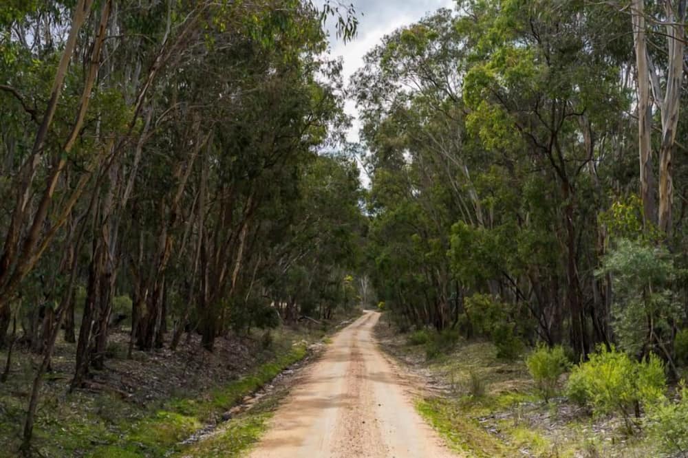 Photo of Others in Mid-western Regional Council
