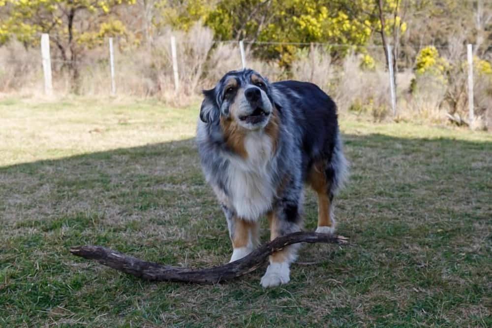 Photo of Others in Mid-western Regional Council