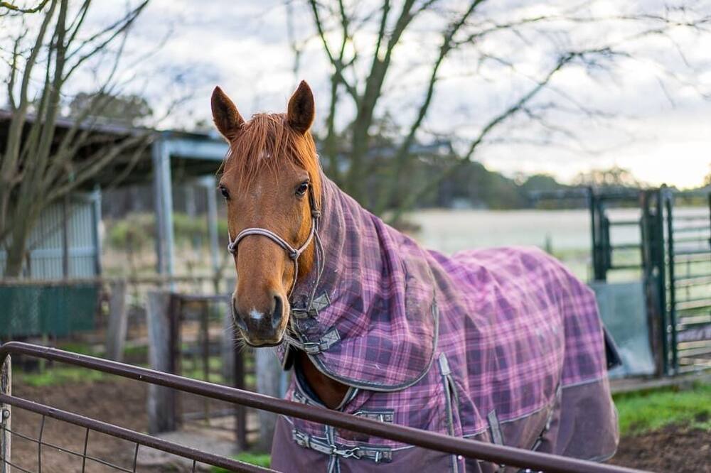 Photo of Others in Mid-western Regional Council