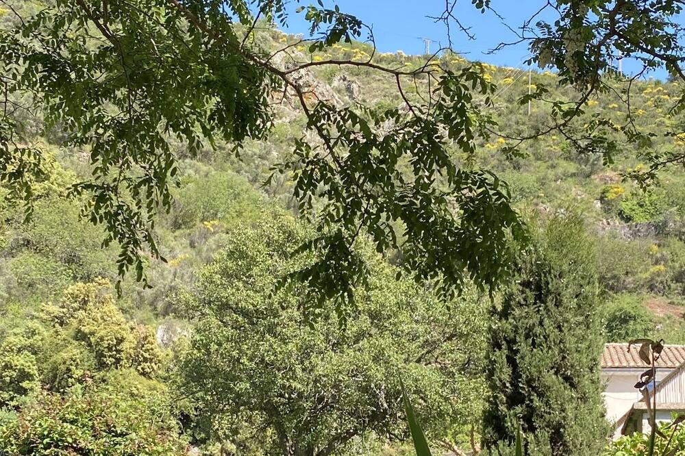 Photo of Outdoor in Lastours