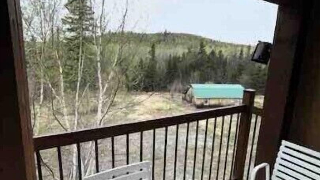 Photo of Outdoor in Saint-Simeon