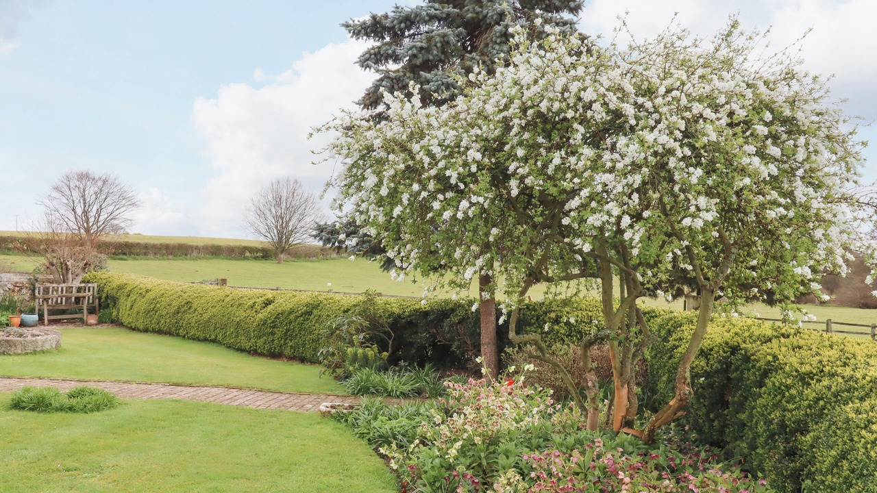 Photo of Others in Ebford