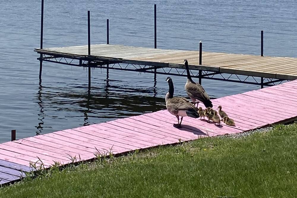 Photo of Outdoor in Roseneath