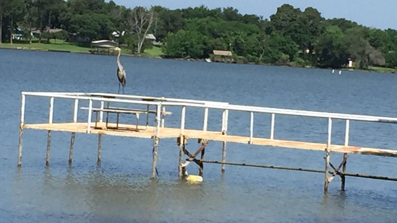 Photo of Outdoor in Wills Point