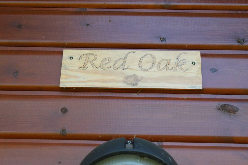 Photo of Others in Chichester