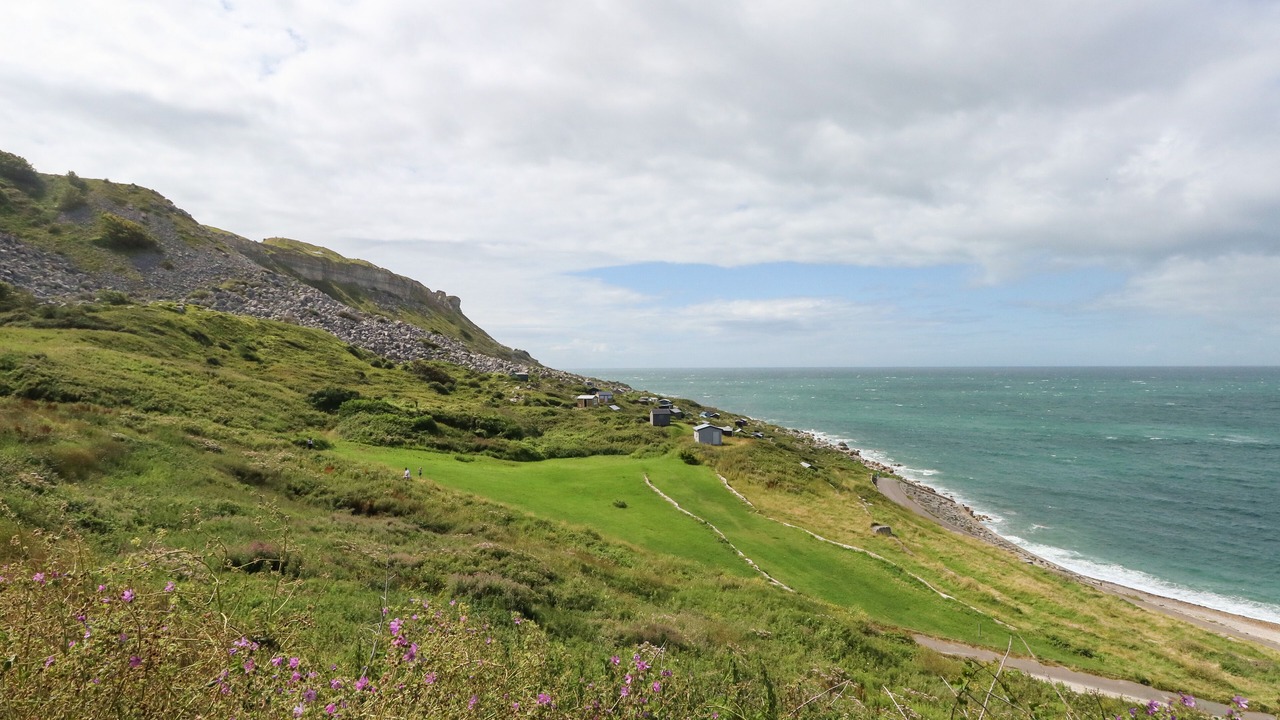 Photo of Others in Portland