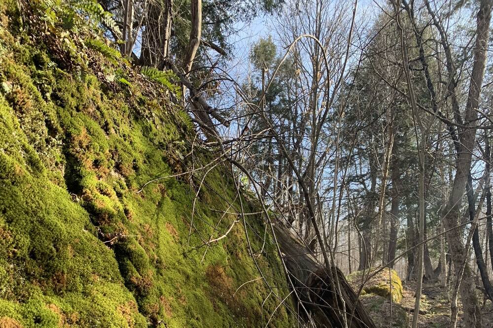 Photo of Outdoor in Arnstein