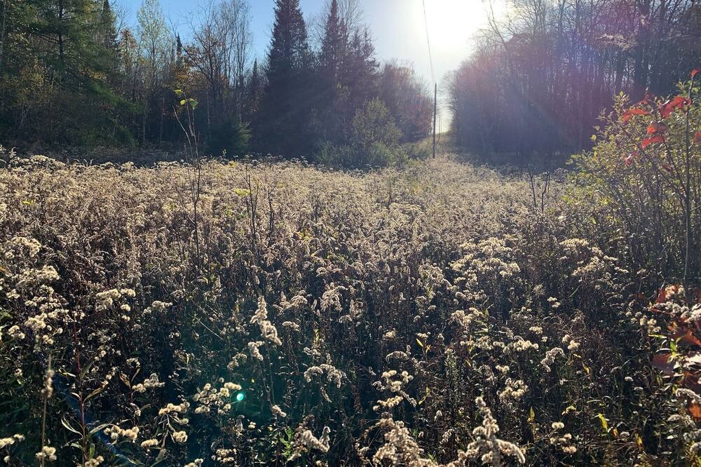 Photo of Outdoor in Arnstein