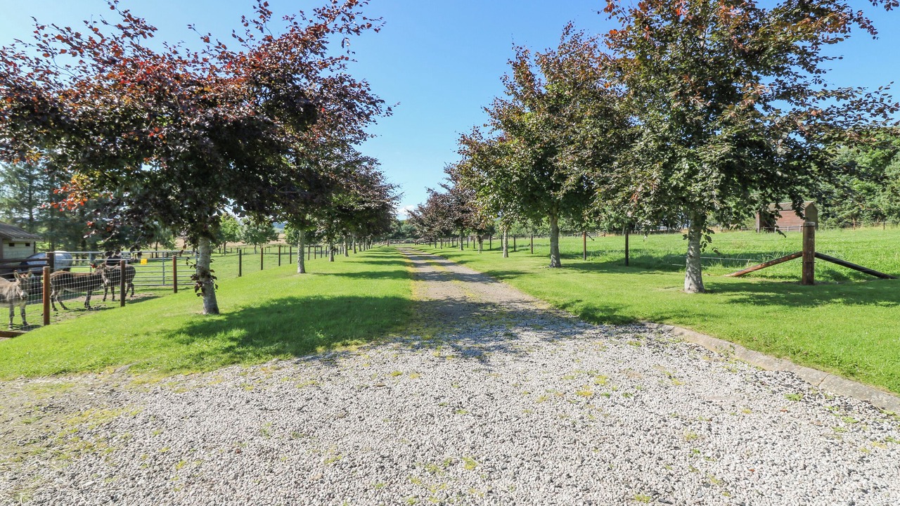 Photo of Others in Sauchen