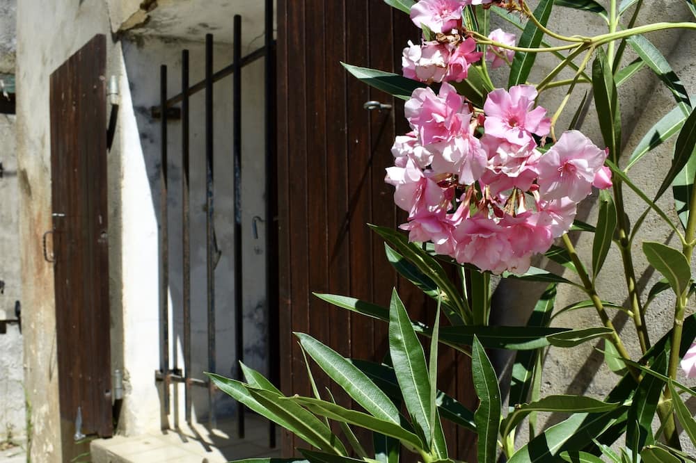 Photo of Outdoor in Olonzac