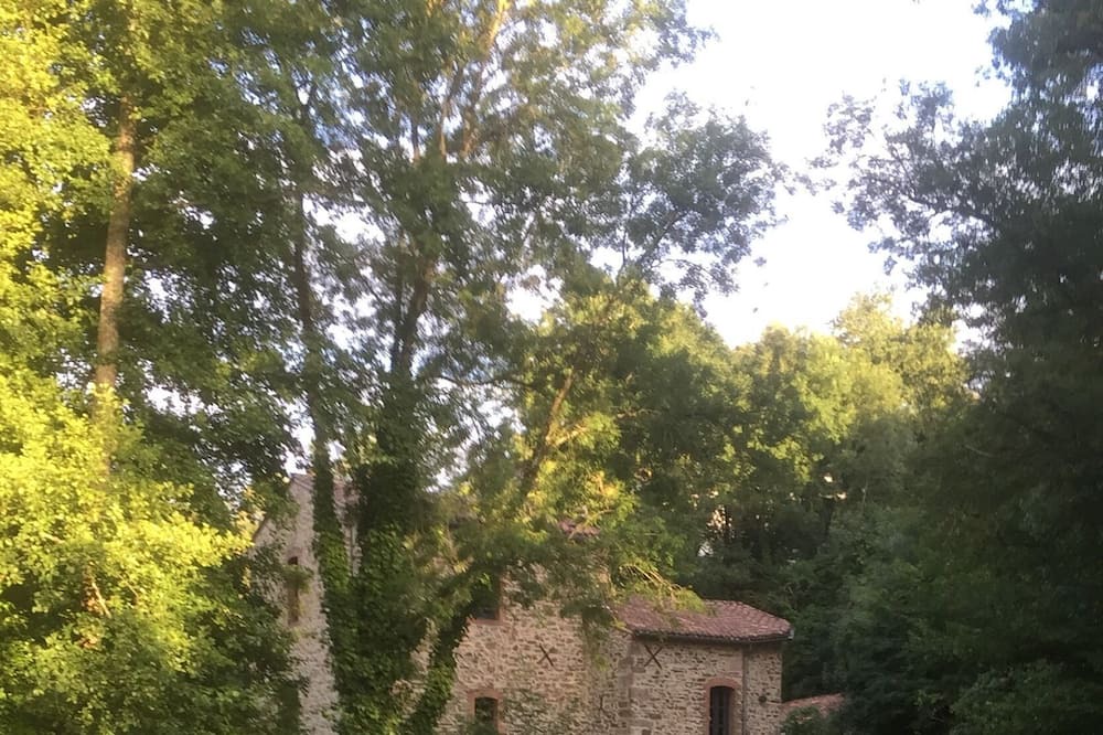 Photo of Outdoor in Saint-Georges-de-Montaigu