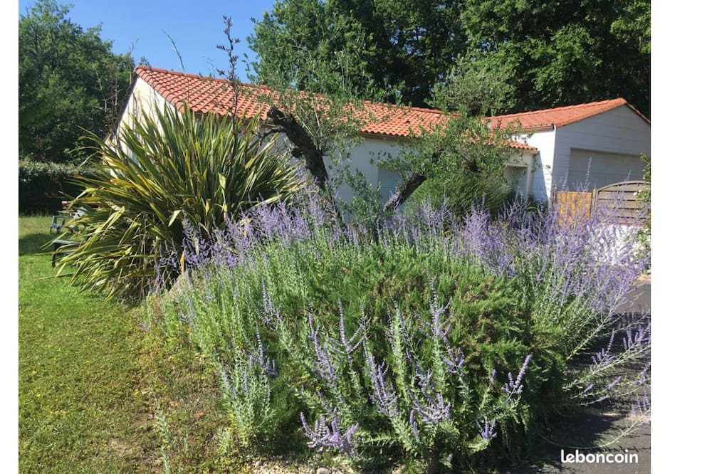 Photo of Outdoor in Saint-Georges-de-Montaigu