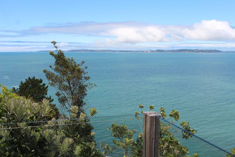 Photo of Others in Waiwera