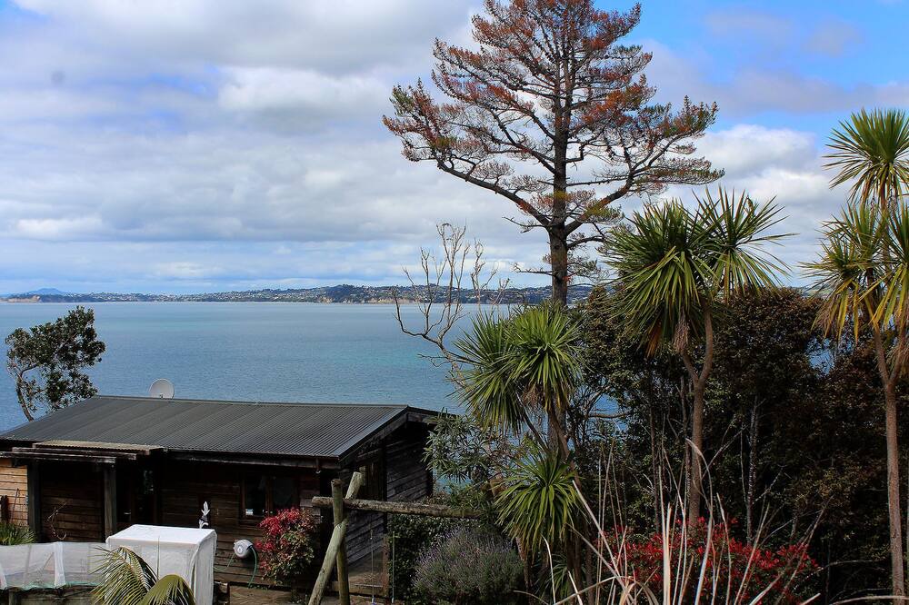 Photo of Others in Waiwera