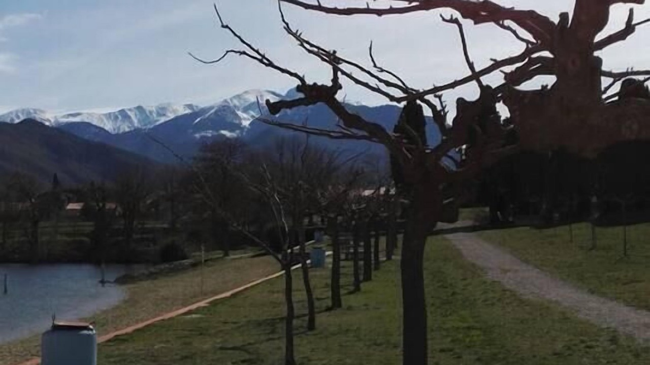 Photo of Outdoor in Rigarda