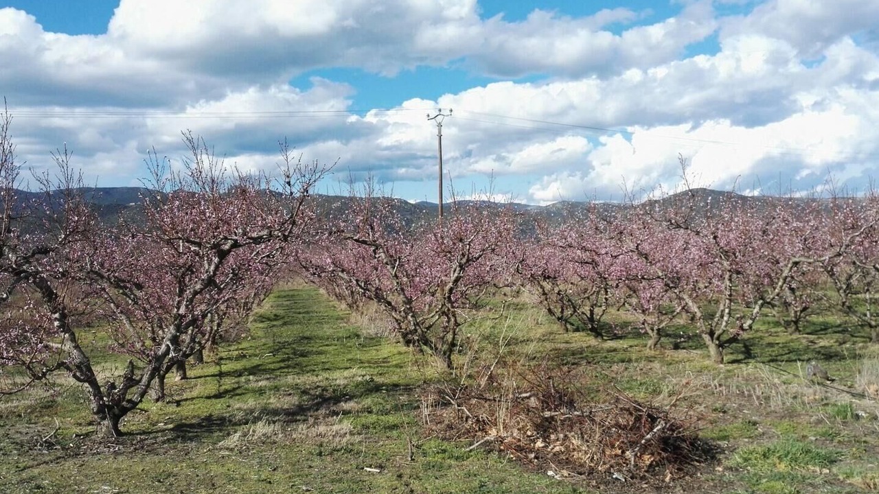 Photo of Outdoor in Rigarda