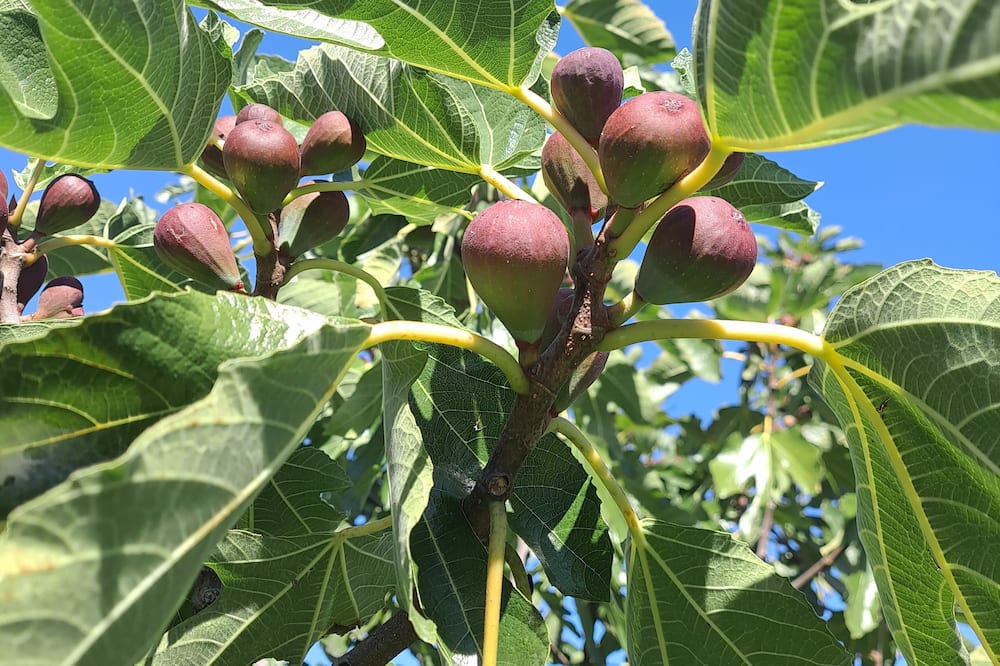 Photo of Outdoor in Turangi