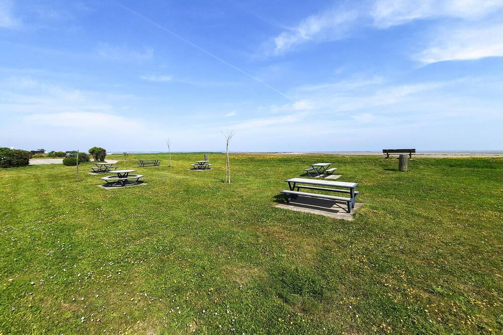 Photo of Others in Le Vivier-sur-Mer