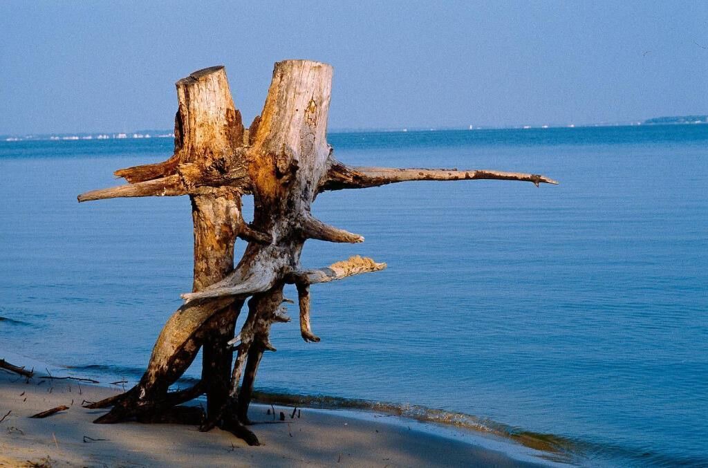 Photo of Others in Saint-Trojan-les-Bains