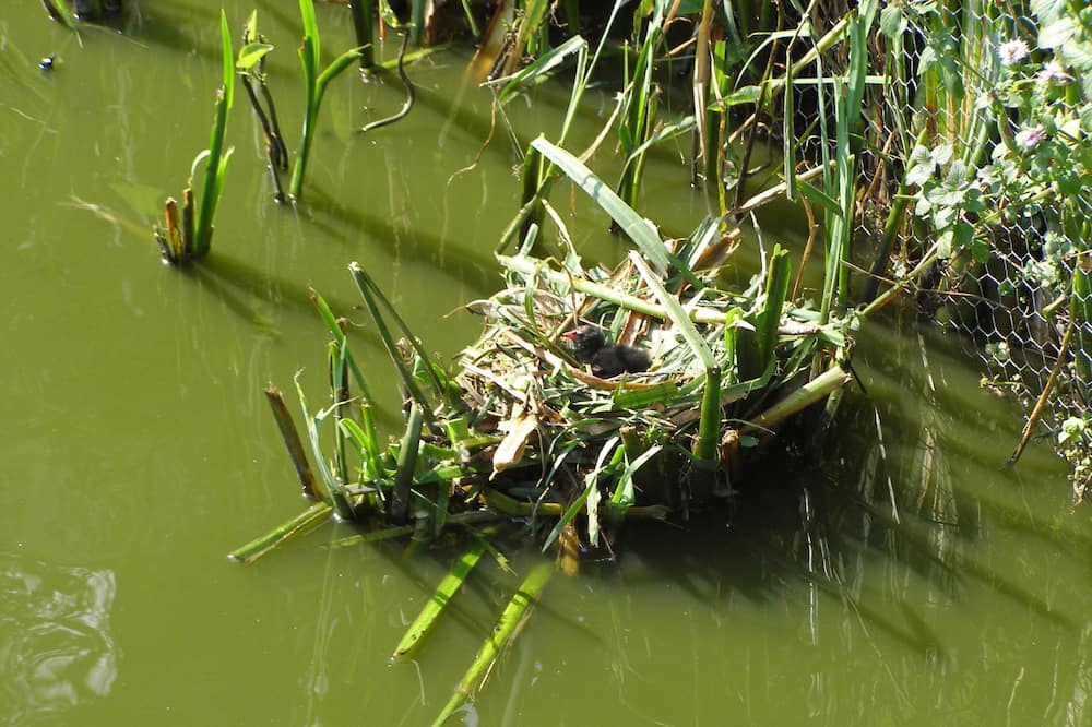 Photo of Outdoor in La Remuee