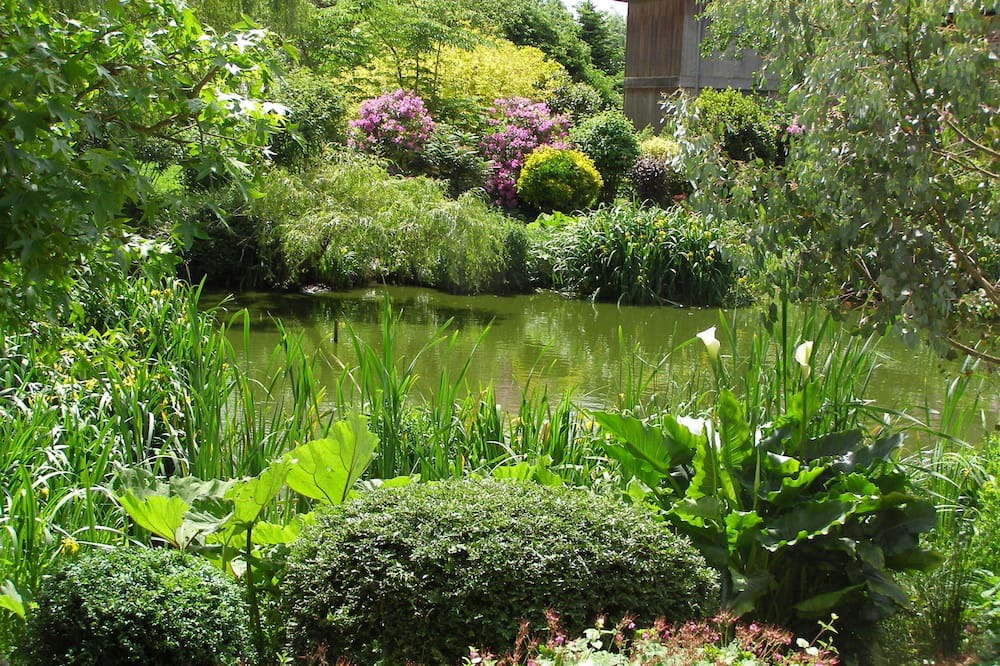 Photo of Outdoor in La Remuee