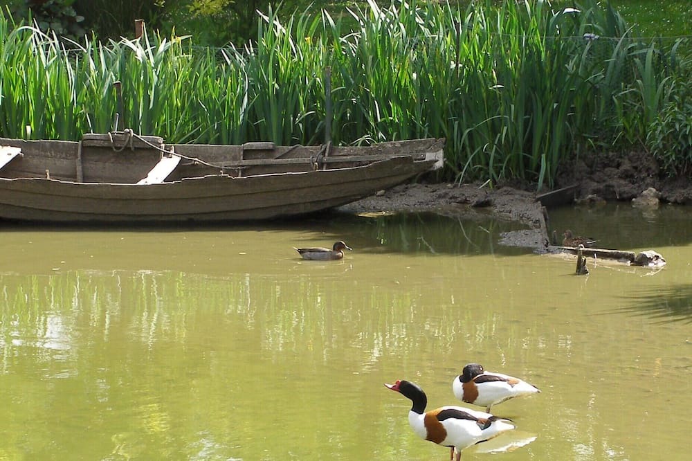 Photo of Outdoor in La Remuee