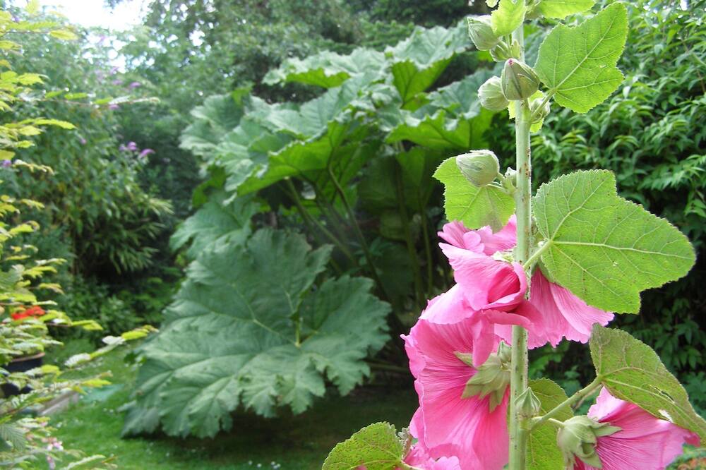 Photo of Outdoor in La Remuee