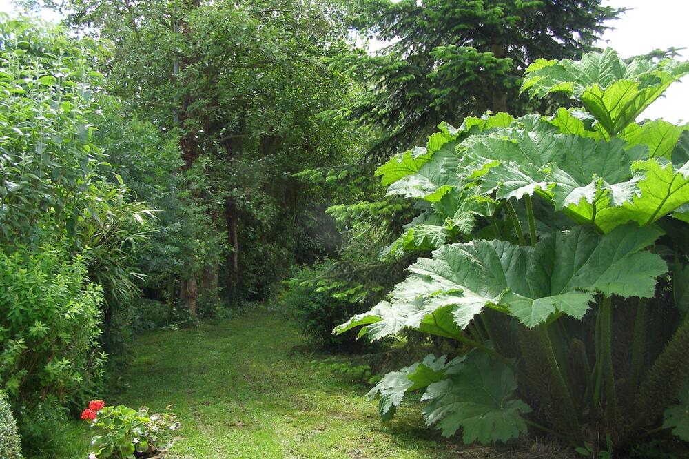 Photo of Outdoor in La Remuee