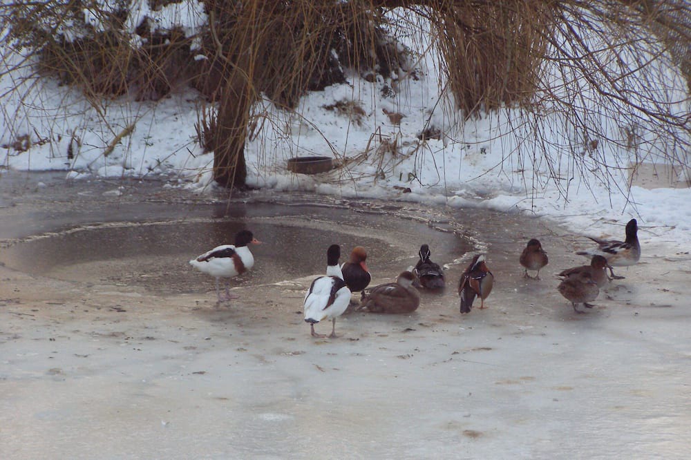 Photo of Others in La Remuee