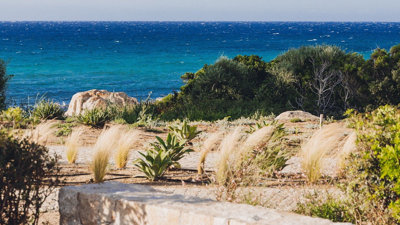 Photo of Outdoor in Monticello