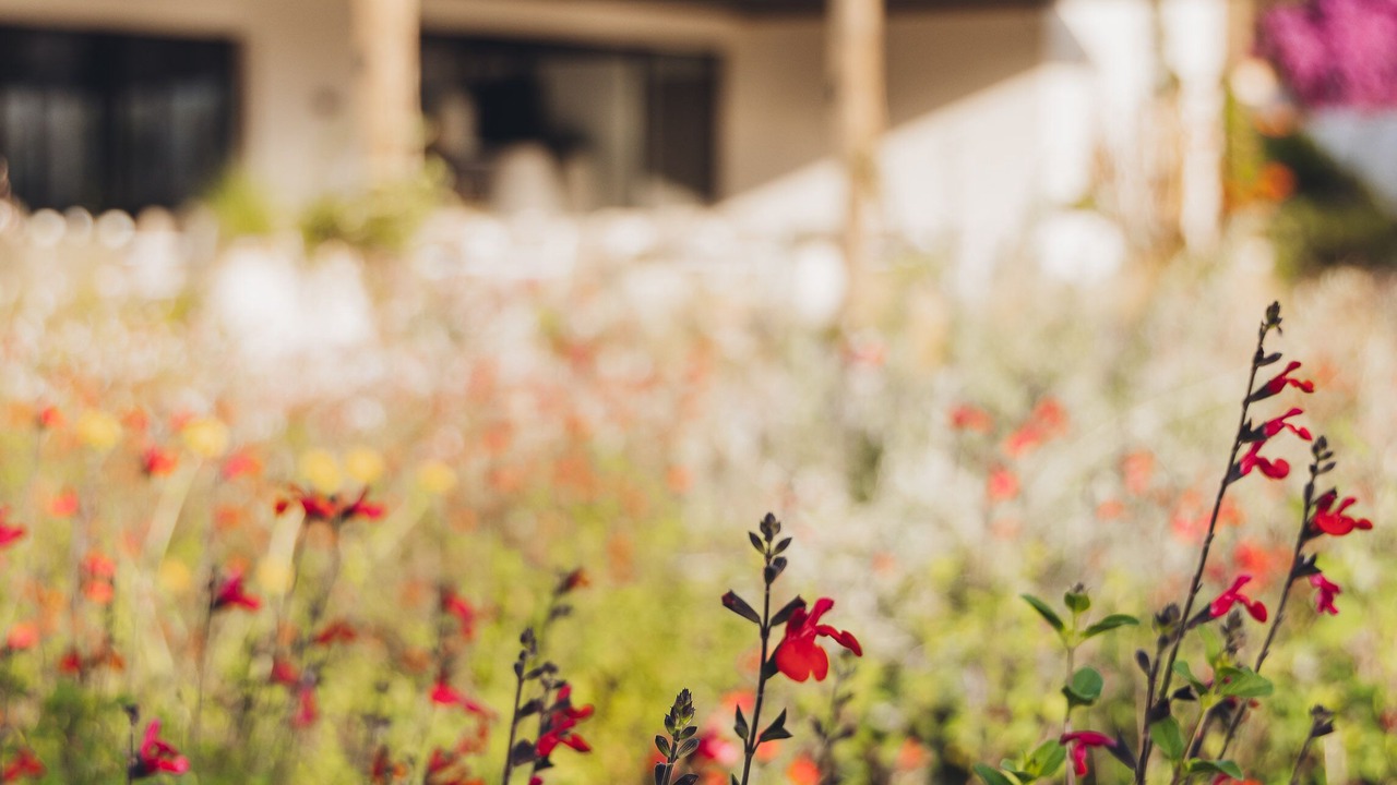 Photo of Outdoor in Monticello