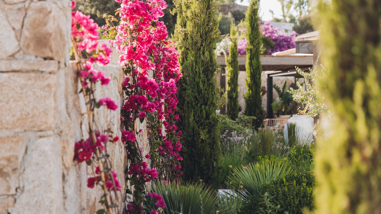 Photo of Outdoor in Monticello