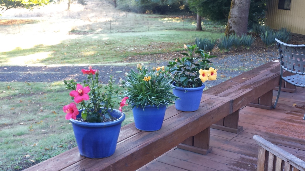 Photo of Outdoor in Pleasant Hill