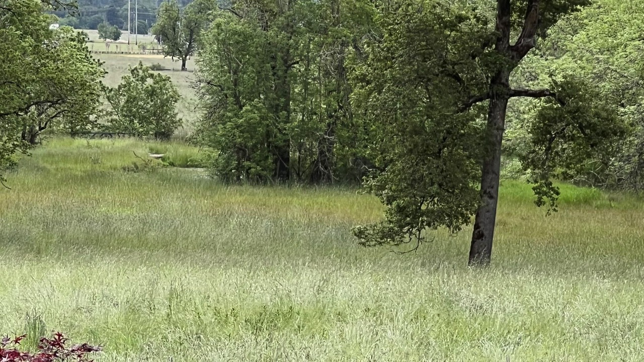 Photo of Outdoor in Pleasant Hill
