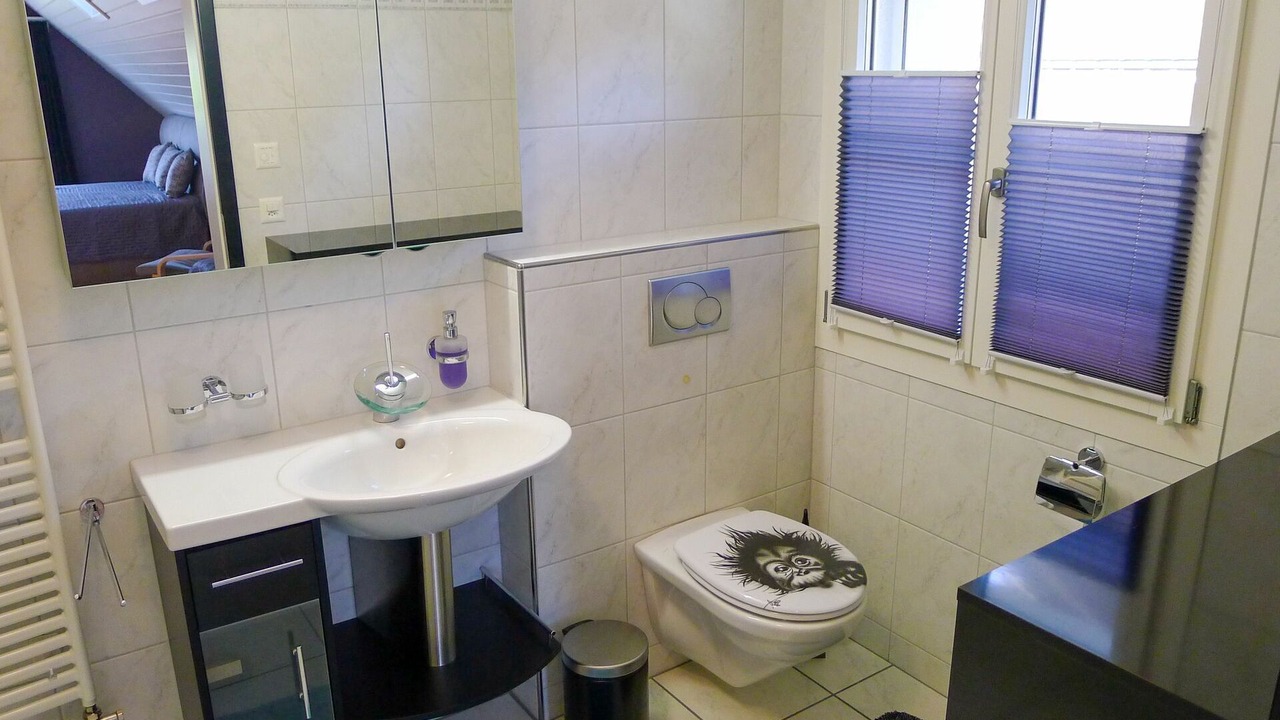 Photo of Bathroom in Horgen District