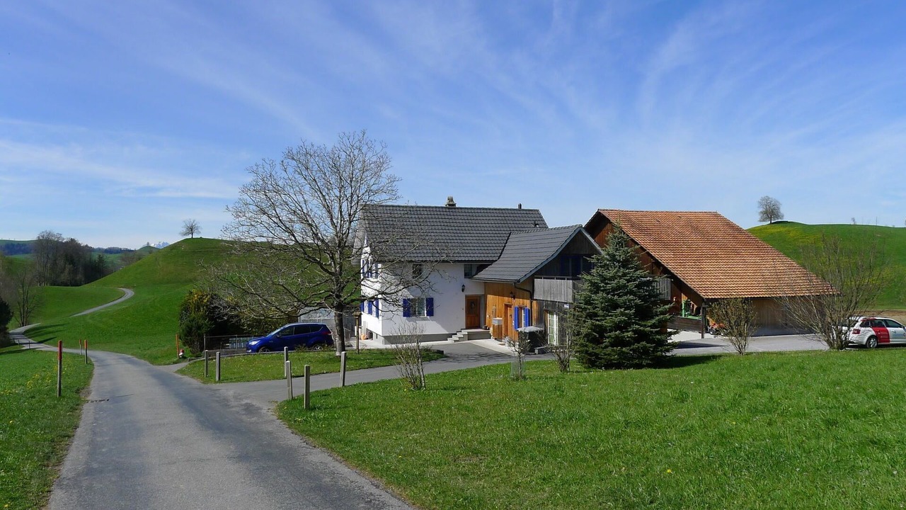 Photo of Outdoor in Horgen District