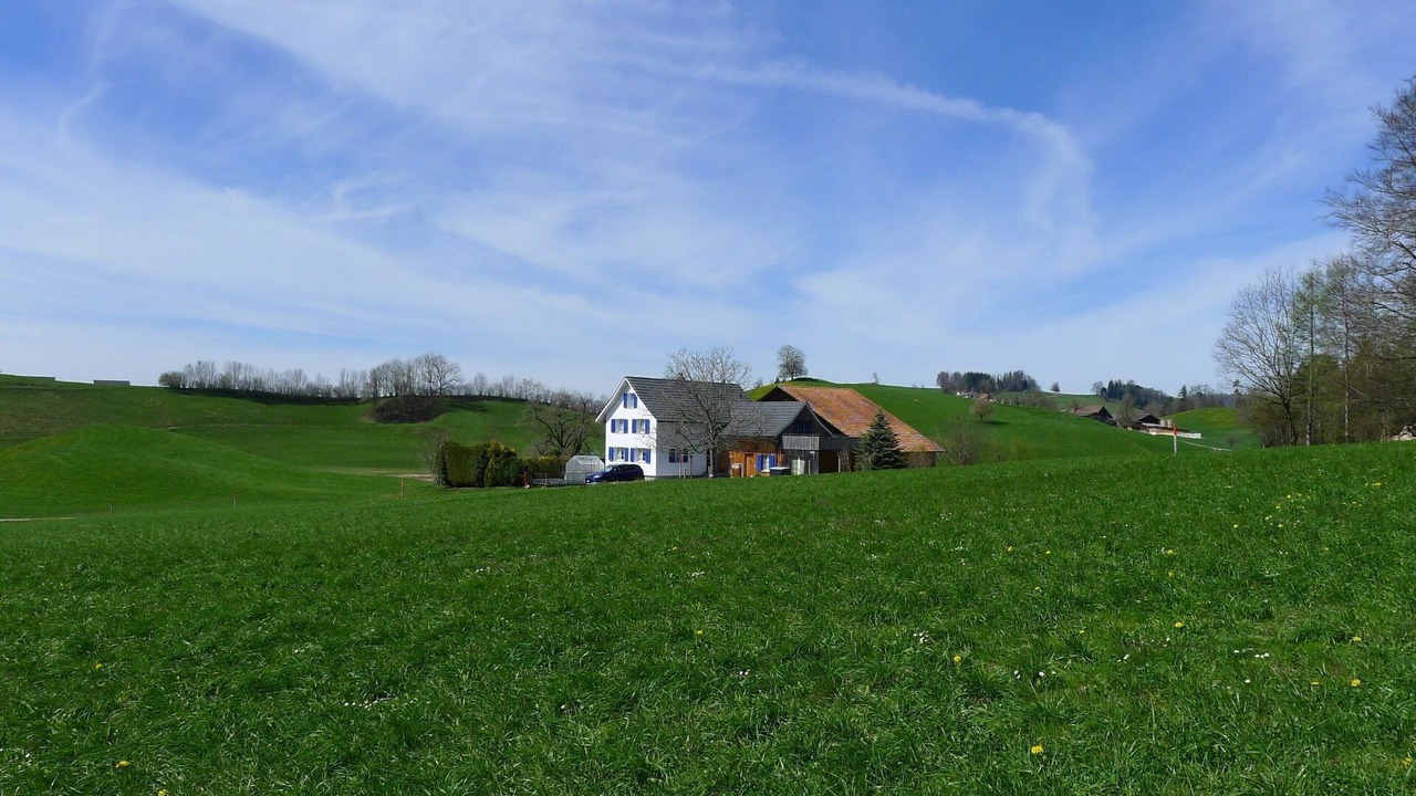 Photo of Others in Horgen District