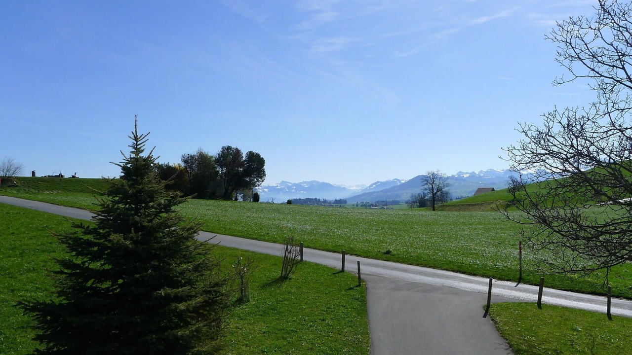 Photo of Outdoor in Horgen District