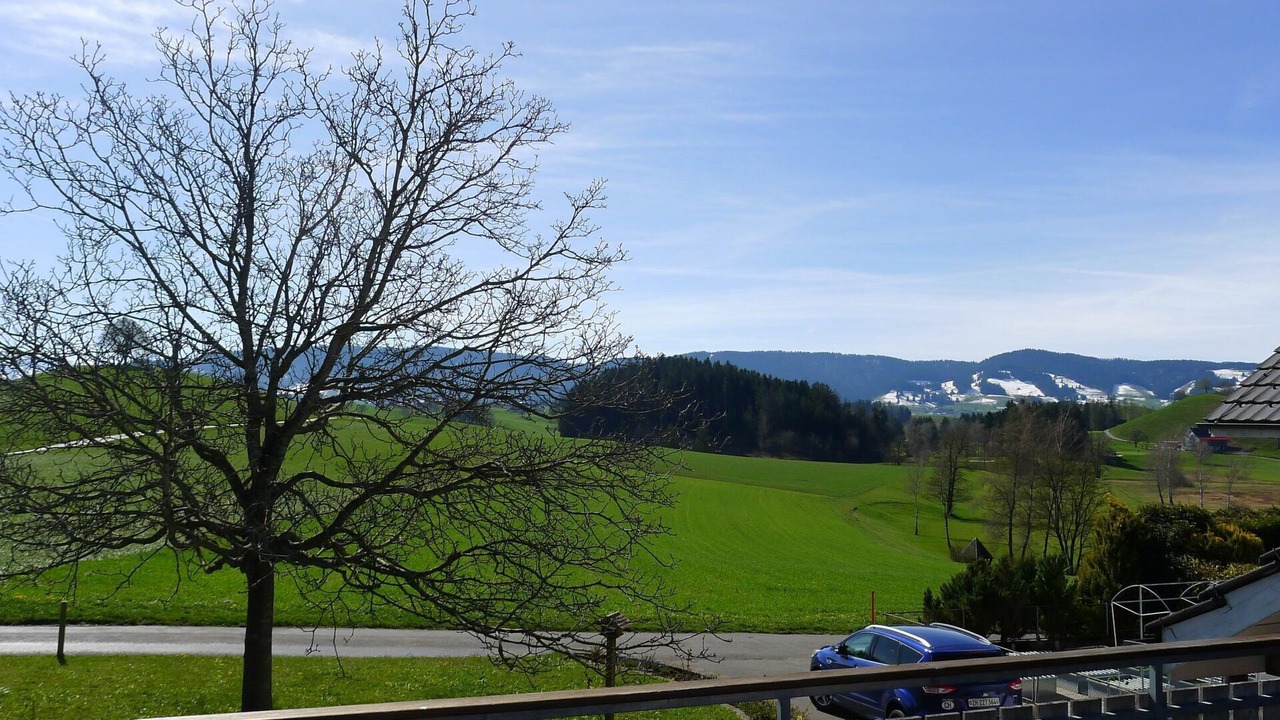 Photo of Outdoor in Horgen District